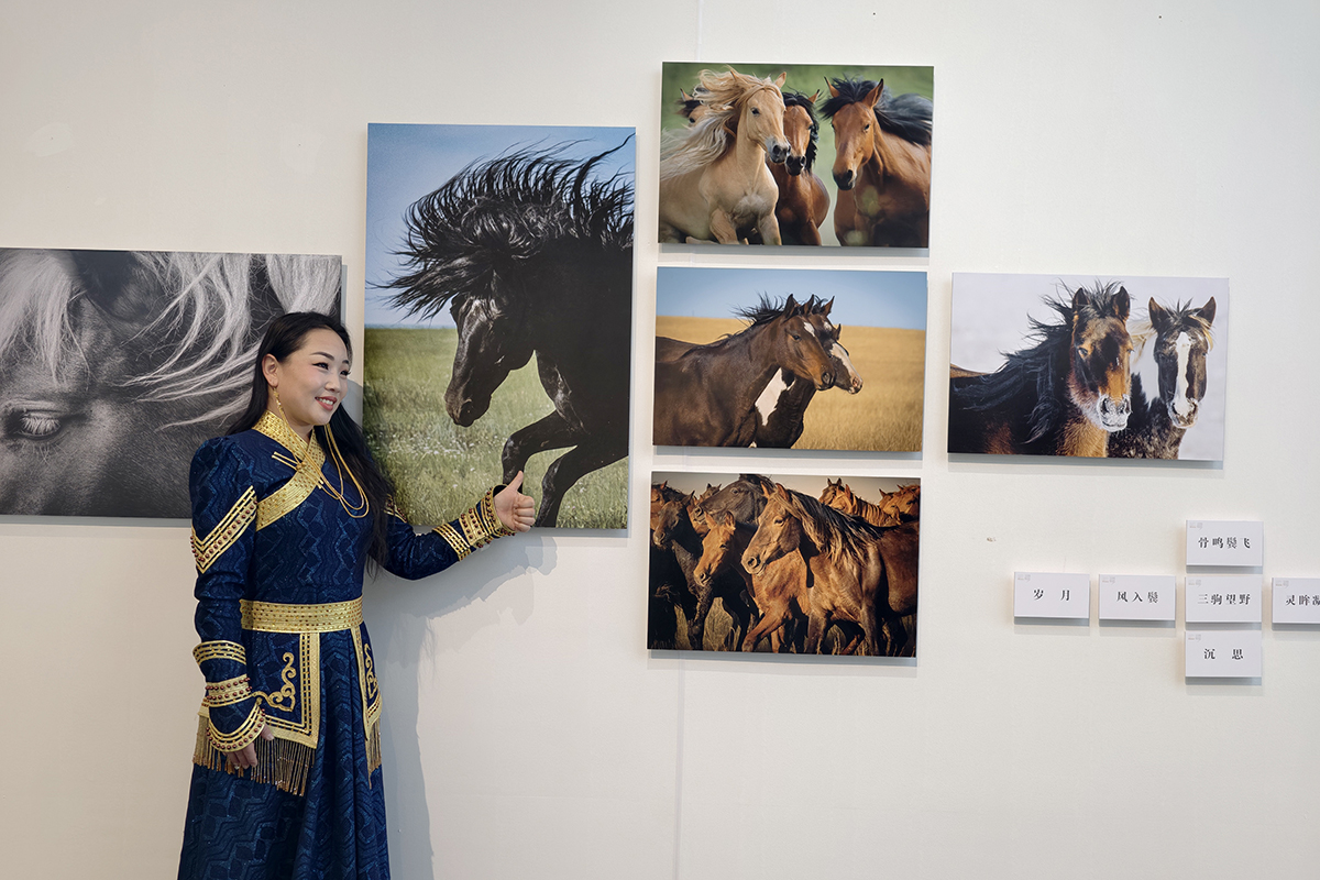 展览现场 (2).jpg