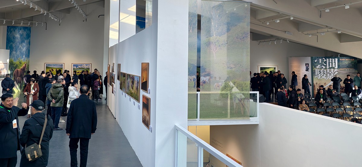 展览现场 (1).jpg