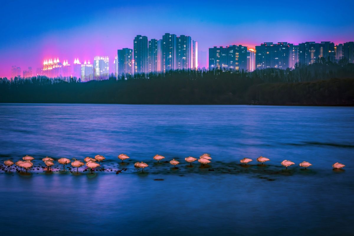 2 和谐家园 黄宪英.jpg