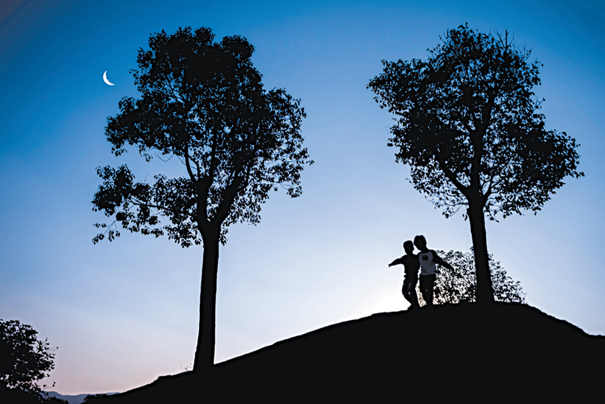 21、20260210第12期4版：月栖树影与童嬉（浙江浦江翠湖公园）（黄永海 摄）.png