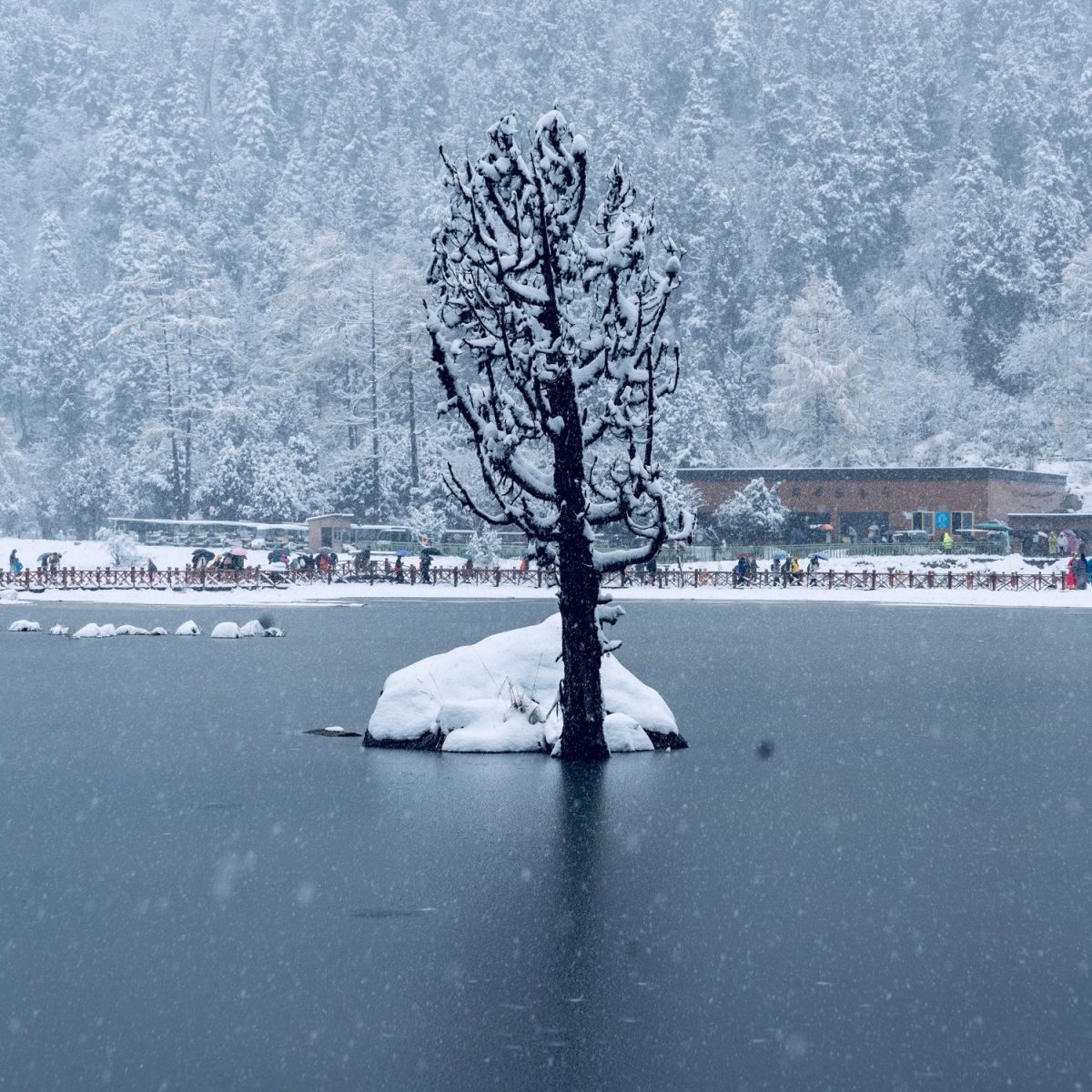 018  《遇见雪花》 20819年10月 四川理县  平志英_摄 DSC00306.jpg