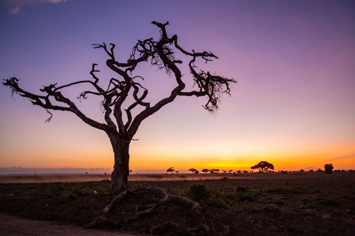 0114  2020广州寻梦天下 许永胜《千年不朽》.jpg