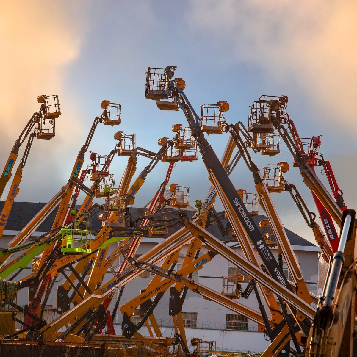 28、20260227第16期12版：难得一聚（马祖强 摄）.jpg