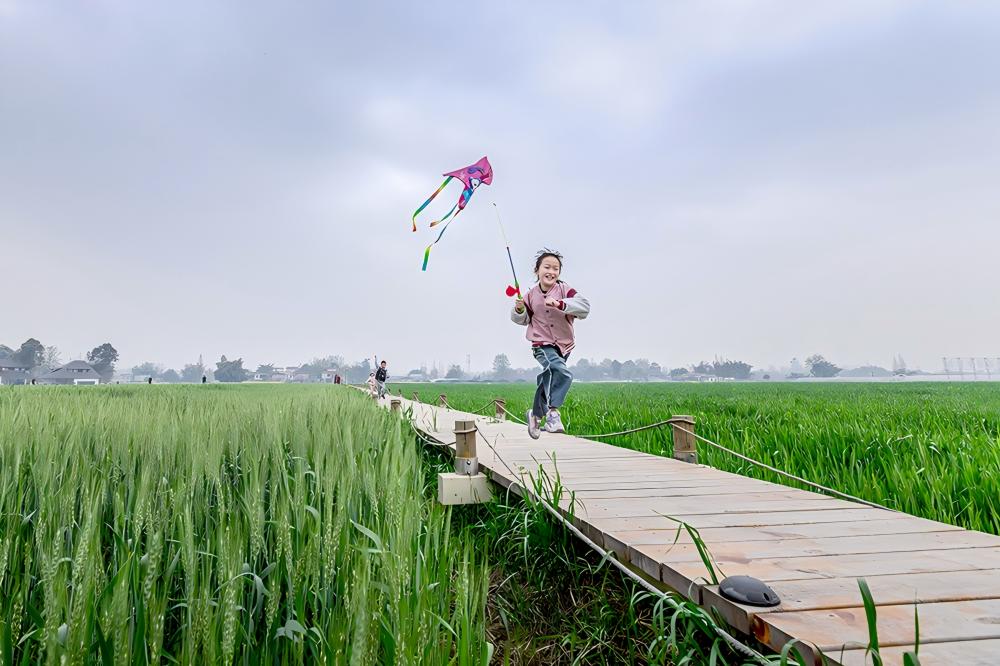 30、20260306第18期4版：追风（2024-03-23四川成都市新都区军屯）（庄永进 摄）.jpg