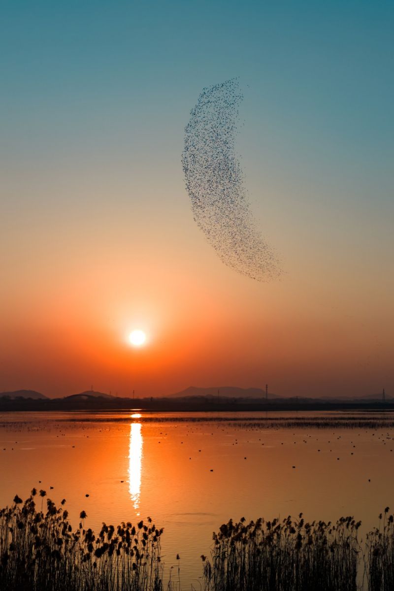 34、20260313第20期4版：日月同辉（夏必俊 摄）.jpg