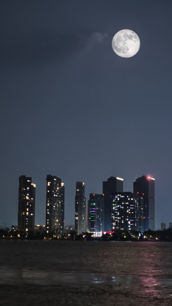 十五的月亮十六圆