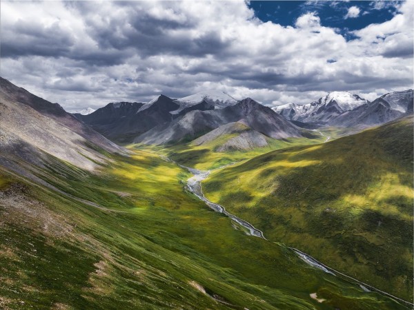 新疆原始巴和牡道