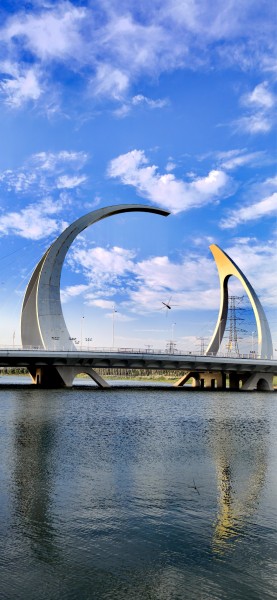 《贾鲁河上月亮桥》