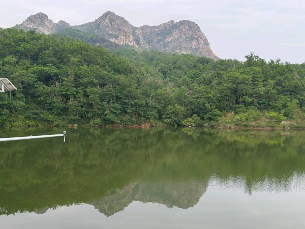 《小珠山万物生机图卷》