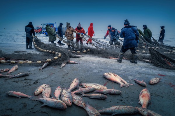 《查干湖冬捕》