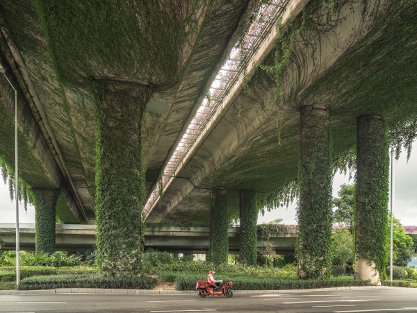 绿藤高架下的红色闪电