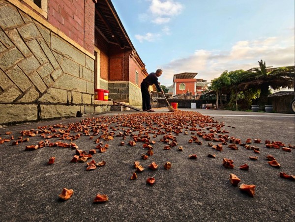满院尽带黄金甲