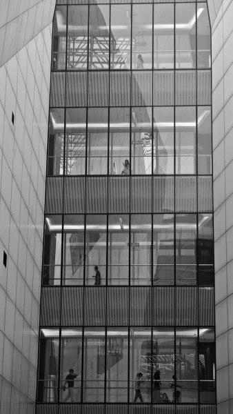 碰巧阶梯式排开的瞬间