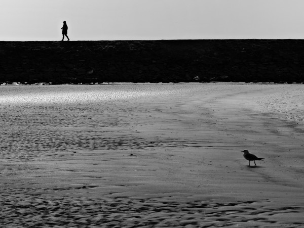 两个世界，一种寂寞