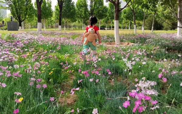 【家在远方】IMG_20250501_094803_副本