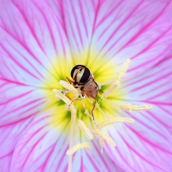 【传播者】IMG_20250514_071710_副本