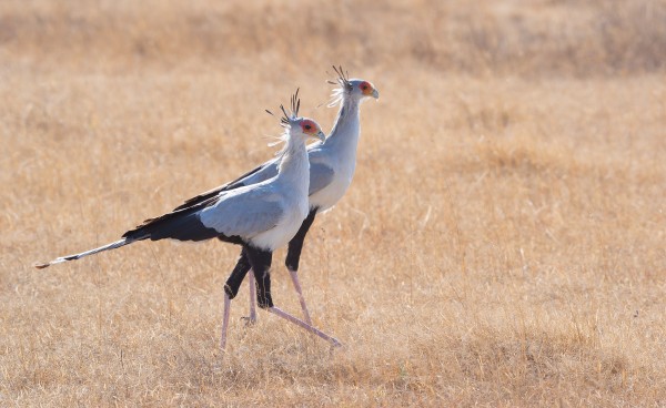 一生有你最幸福