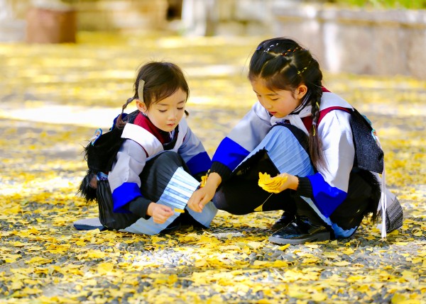 银杏树下的姐妹