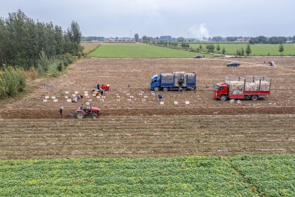 在希望的田野上