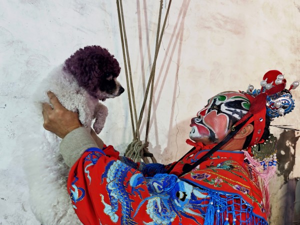 《脸谱与萌宠》