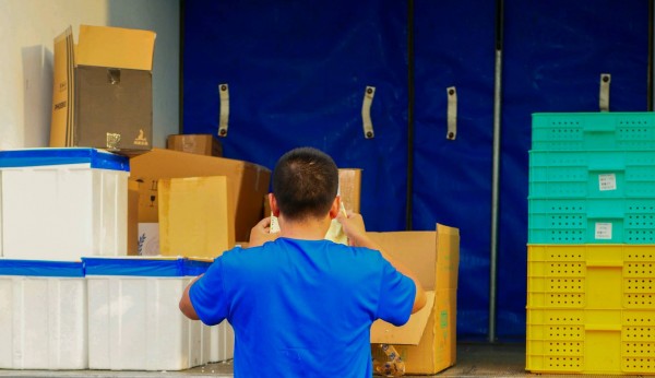 《货箱“编码师”》