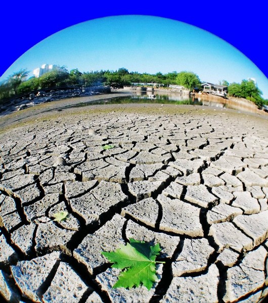 作品《地球的呐喊》摄影：陆辉。