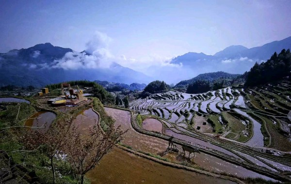 作品《元阳晨曲》摄影：陆辉。