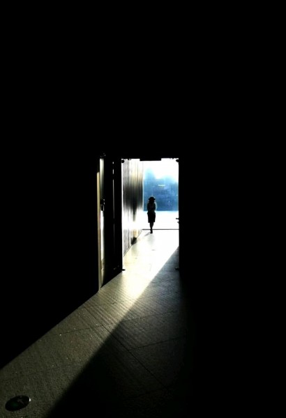 作品《申城佳丽》摄影：陆辉。