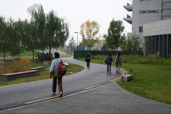 曲径上的青春同行