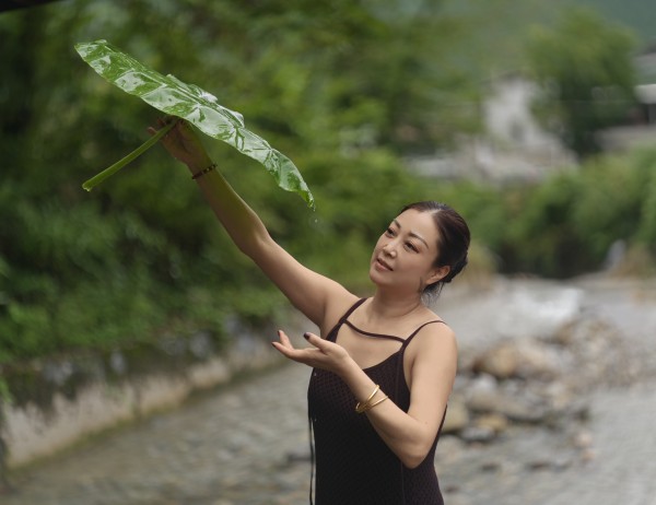 溪涧芋伞听溪声